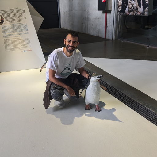 Cristian Gutierrez Cristian Gutierrez